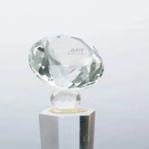 Cystal Spark Diamond Trophy
